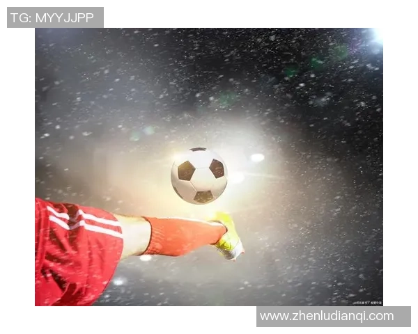 足球的部落：探寻全球球迷文化与热情的交融之旅