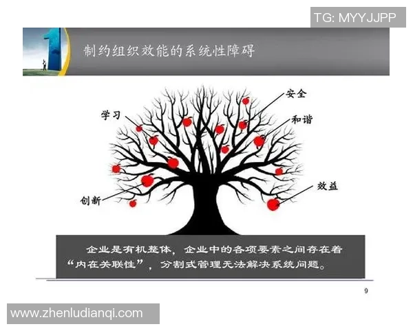 重庆乒乓球队与西安乒乓球队赛后复盘分析团队协作与战术执行的关键要素