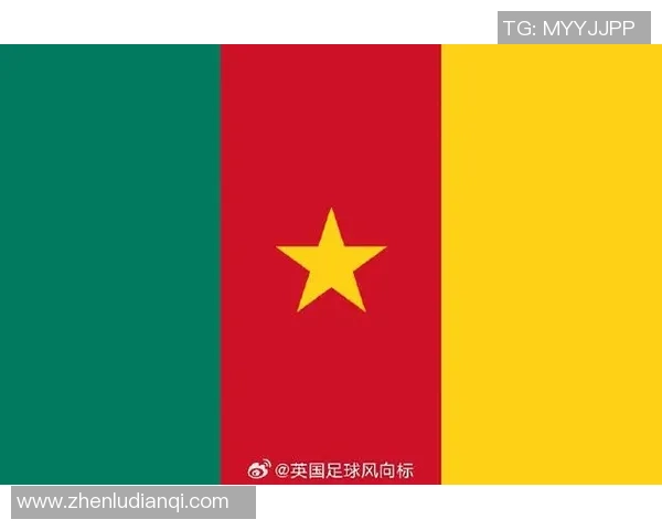 足球CAF杯激战正酣非洲球队争夺荣耀与梦想的舞台